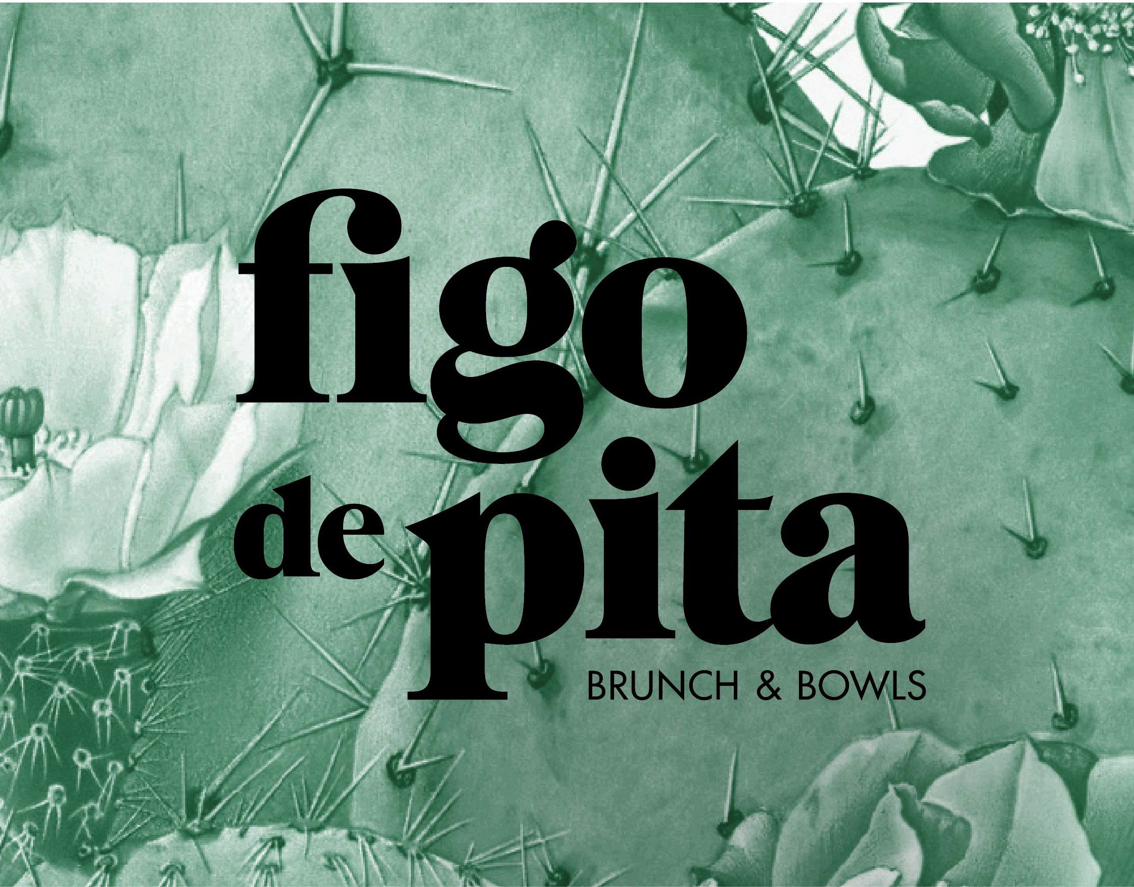 Café Figo de Pita